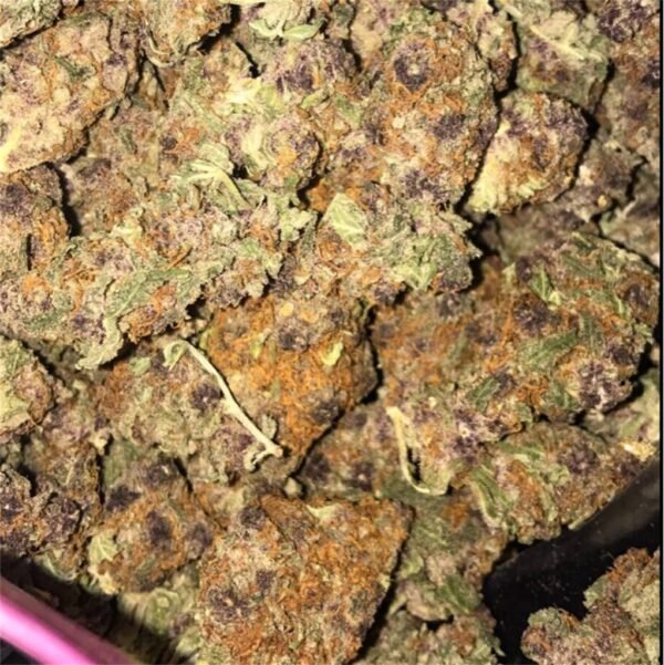 Buy Purple Haze Strain Australia